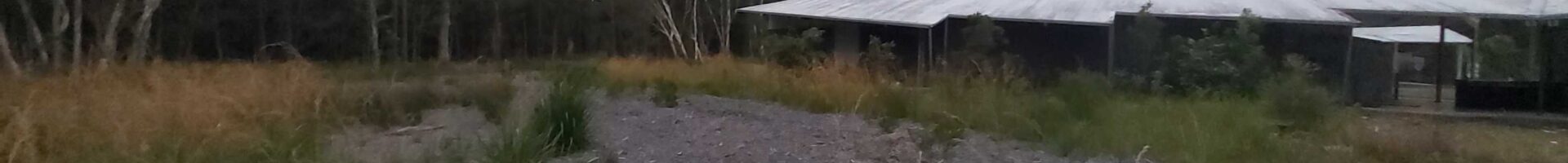 Clean Up Success With Wide Support