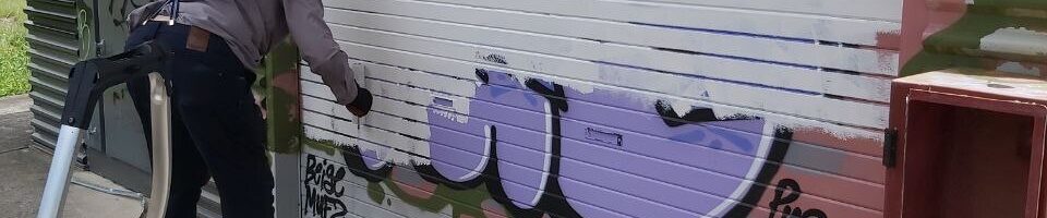 Progress Report 2024 Release